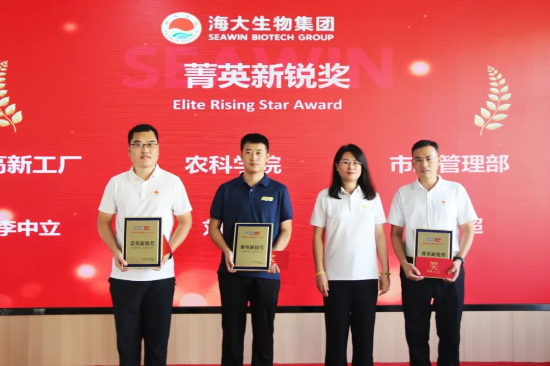青岛BANDAO SPORTS集团成立二十五周年表彰大会隆重举行